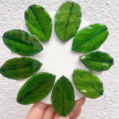 Real Leaf Hair Clips