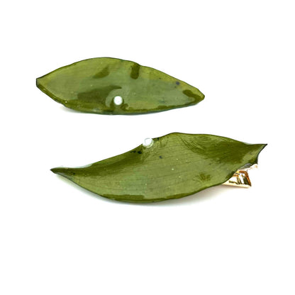 Real Leaf Hair Clips