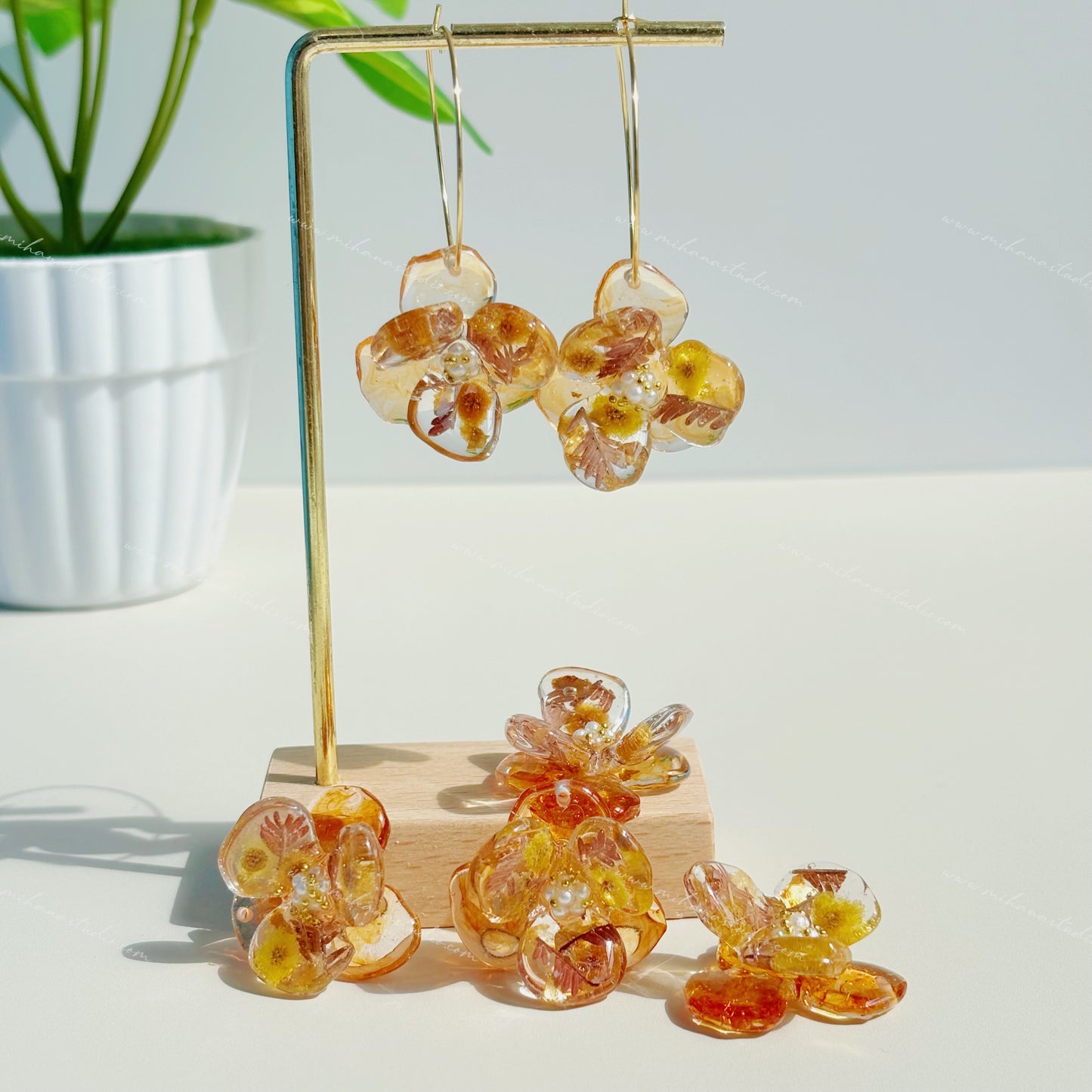Clover Earrings with real Acacia, Gold filled