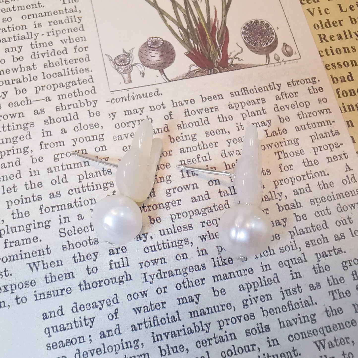 Silver Shell and Pearl Rabbit Studs